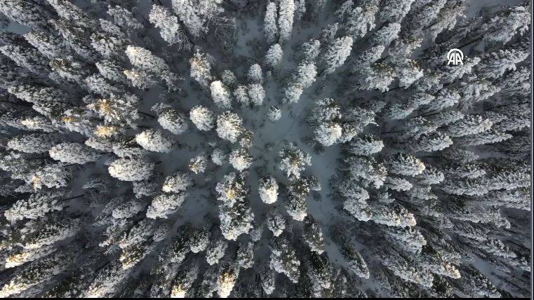 Ilgaz Dağı'nda kartpostallık görüntüler - Resim: 8